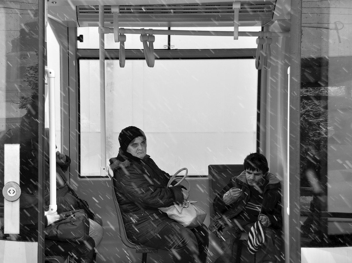 winter passengers Poster och Canvastavla