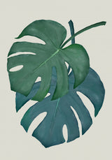 Monstera Aqua 06 Poster och Canvastavla