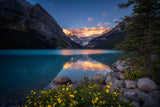 Golden Throne of Lake Louise Poster och Canvastavla