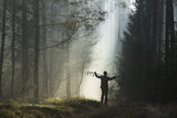 Finding your own way Poster och Canvastavla