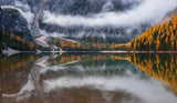 Perfect reflection Poster och Canvastavla