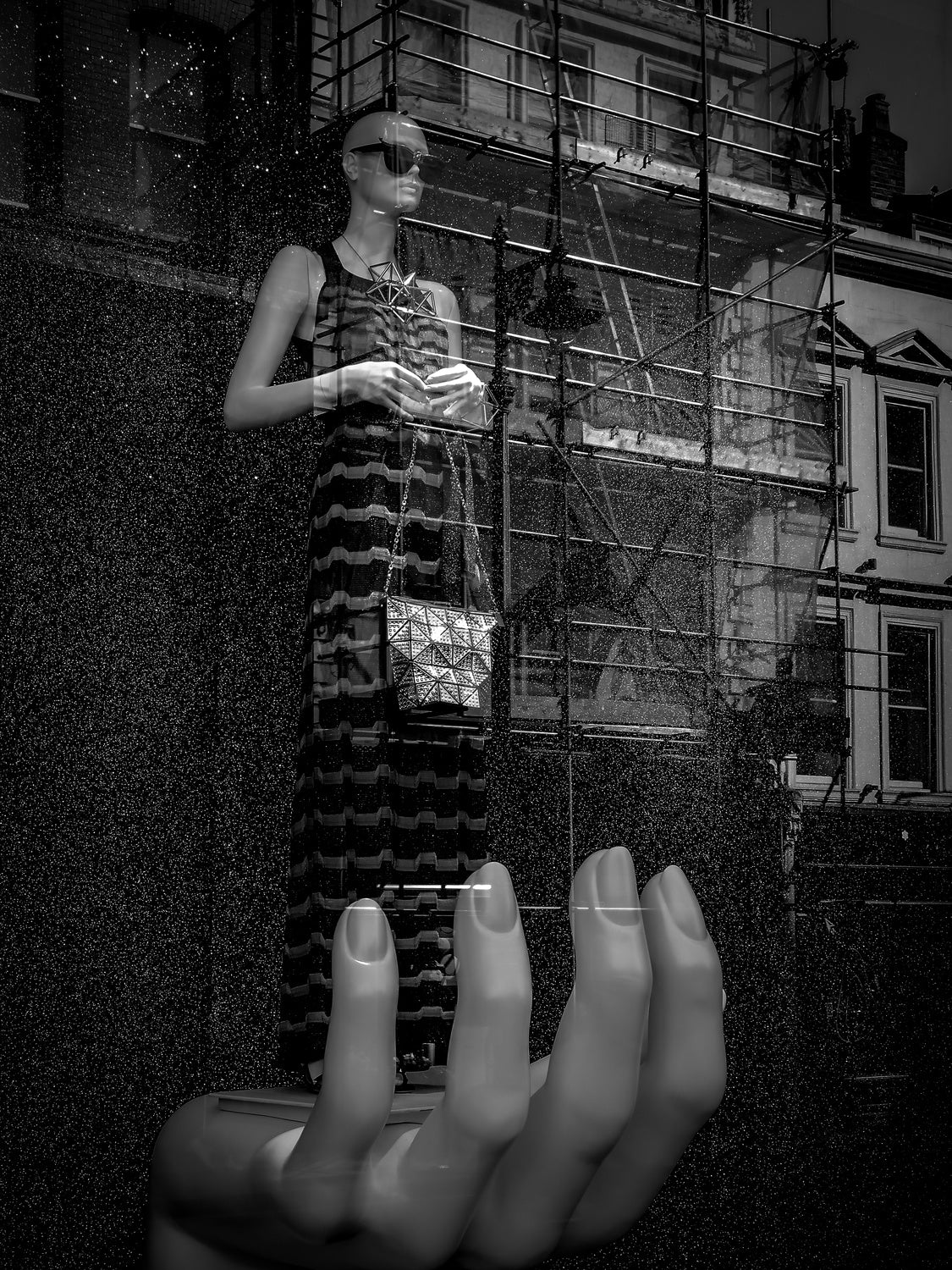 A bird in the hand. Poster och Canvastavla