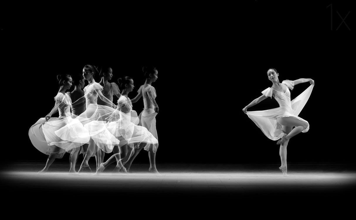 Balerina Movement Poster och Canvastavla