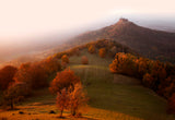 Autumn on the Swabian Alb Poster och Canvastavla
