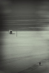 Lonely path Poster och Canvastavla