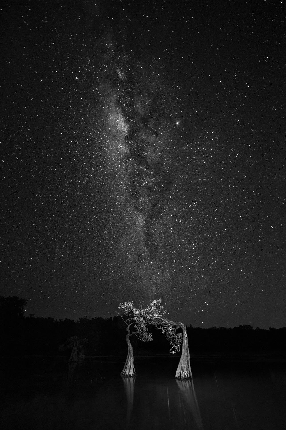 Dancing with milky way Poster och Canvastavla