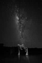 Dancing with milky way Poster och Canvastavla