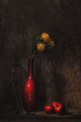 Red dream Poster och Canvastavla