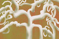 White tree Poster och Canvastavla