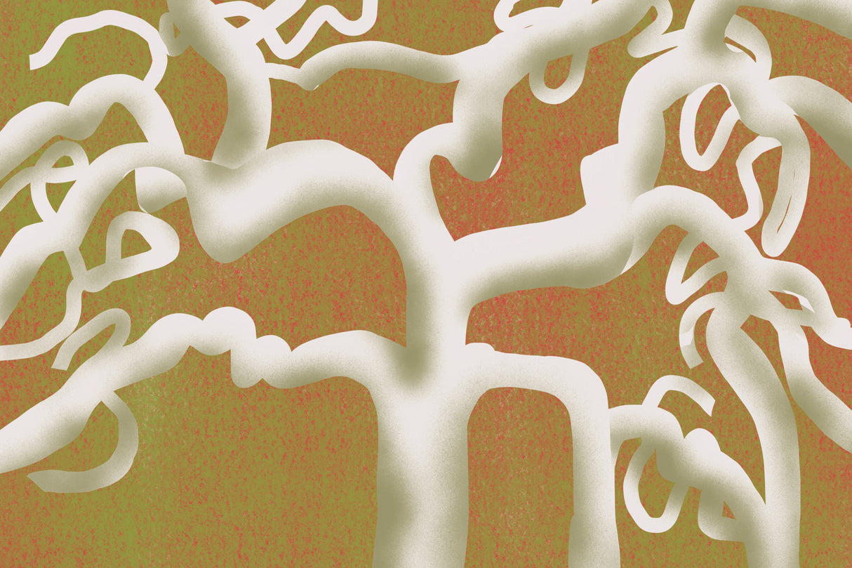 White tree Poster och Canvastavla