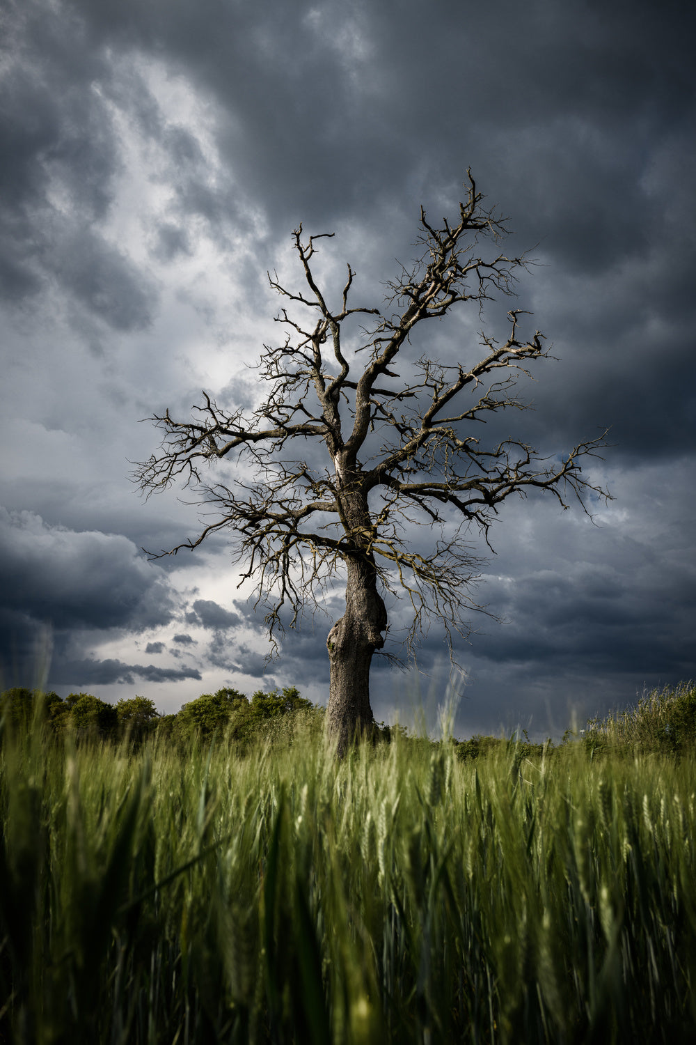 stormy weather Poster och Canvastavla