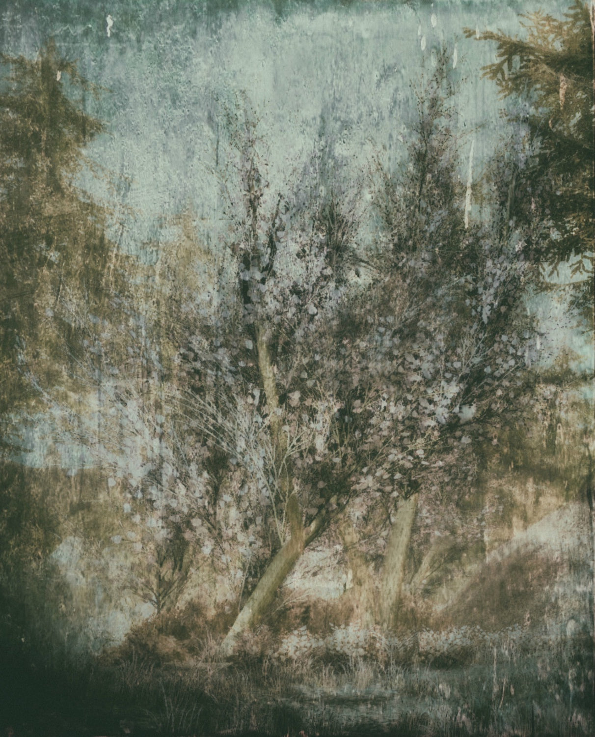 To everything there is a season Poster och Canvastavla
