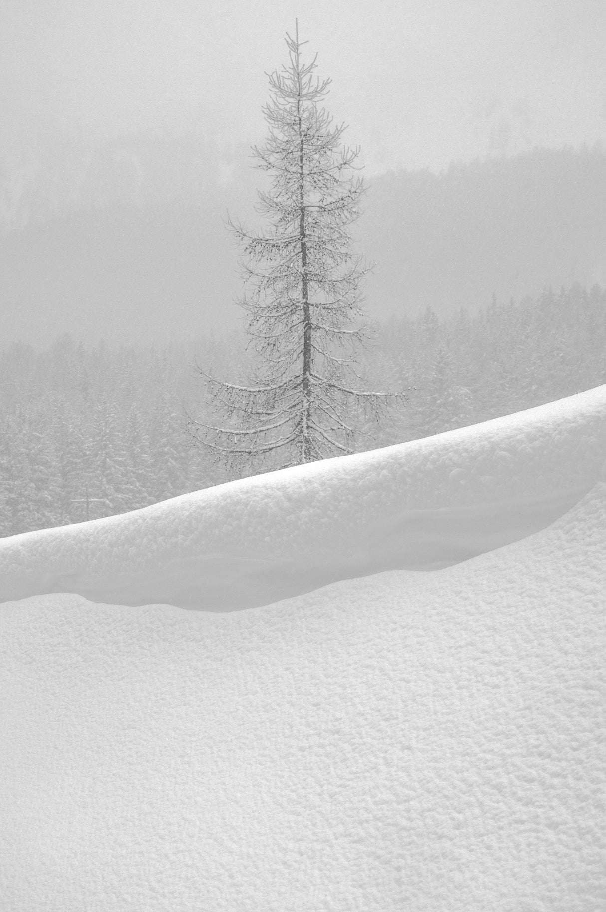 Soft Silence Poster och Canvastavla