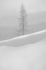 Soft Silence Poster och Canvastavla