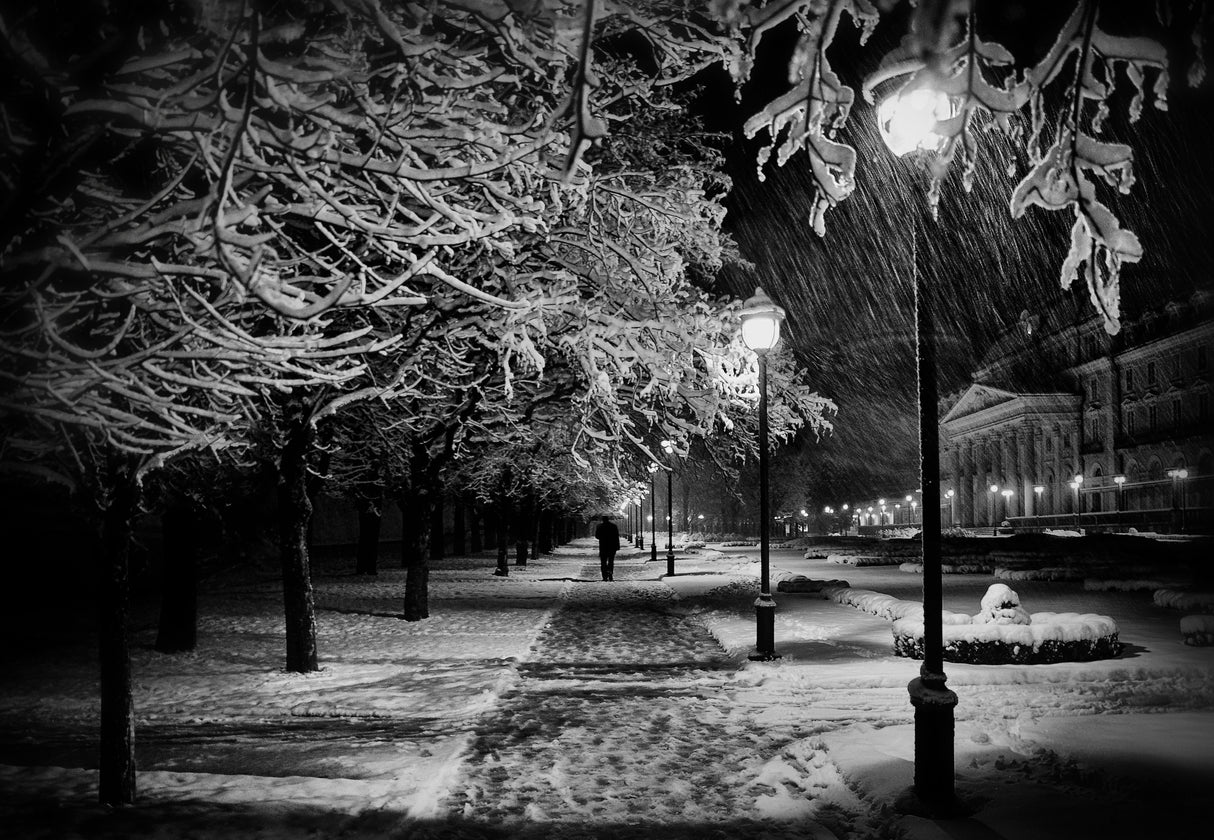 At night Poster och Canvastavla