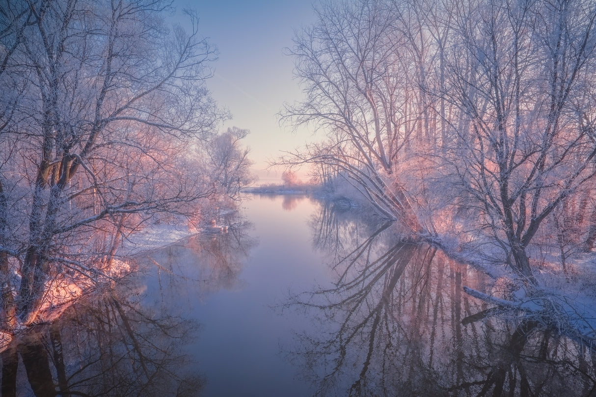 Last warming light Poster och Canvastavla