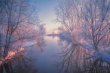 Last warming light Poster och Canvastavla