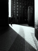 Light inside the shadow. Poster och Canvastavla