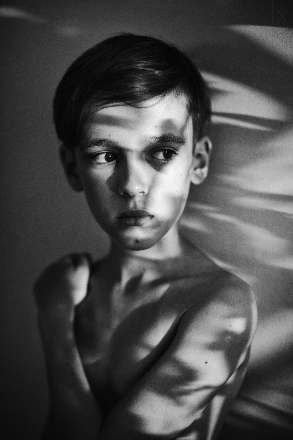portrait in light and shadows Poster och Canvastavla