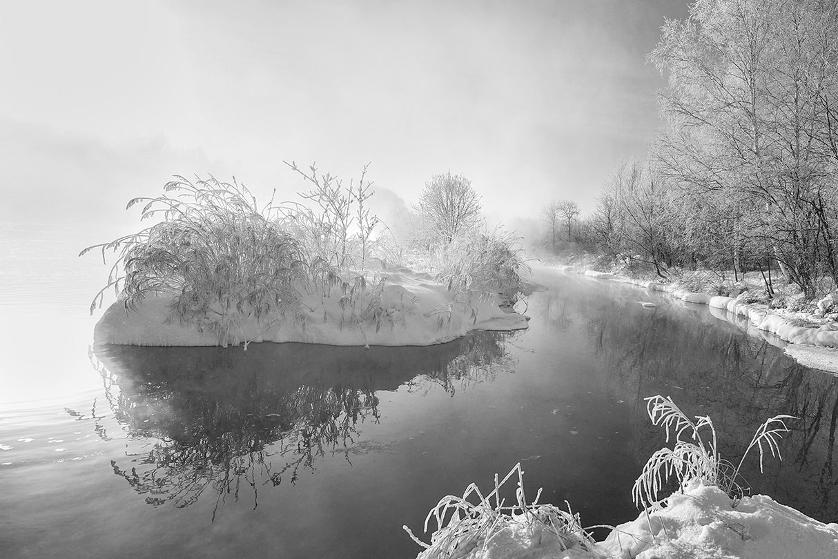 Morning fog and rime in Kuerbin Poster och Canvastavla