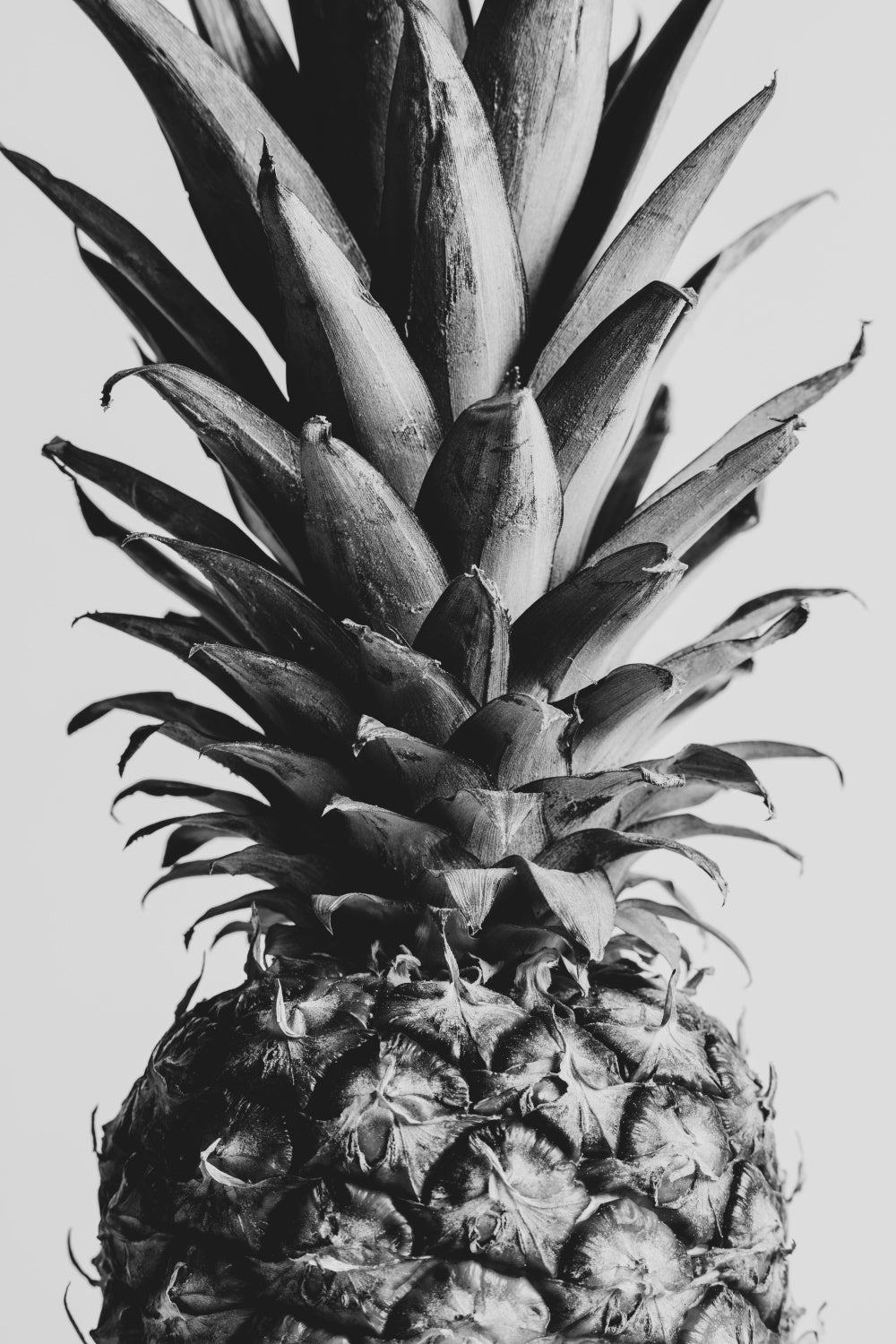 Pinapple Black &amp; White 04 Poster och Canvastavla