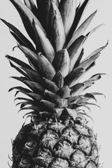 Pinapple Black &amp; White 04 Poster och Canvastavla