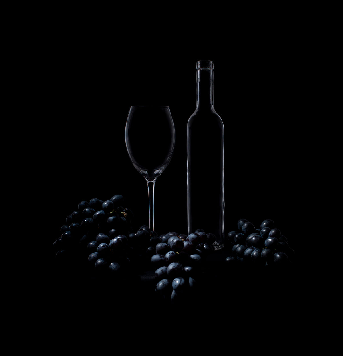 Black on Black Poster och Canvastavla
