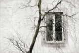veiled window Poster och Canvastavla
