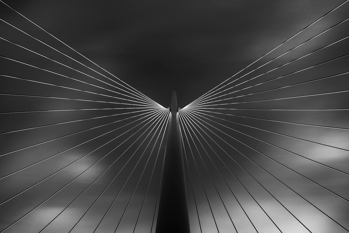 Angel in Black and White Poster och Canvastavla