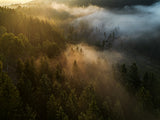 magic morning Poster och Canvastavla