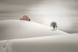 Winter Poster och Canvastavla