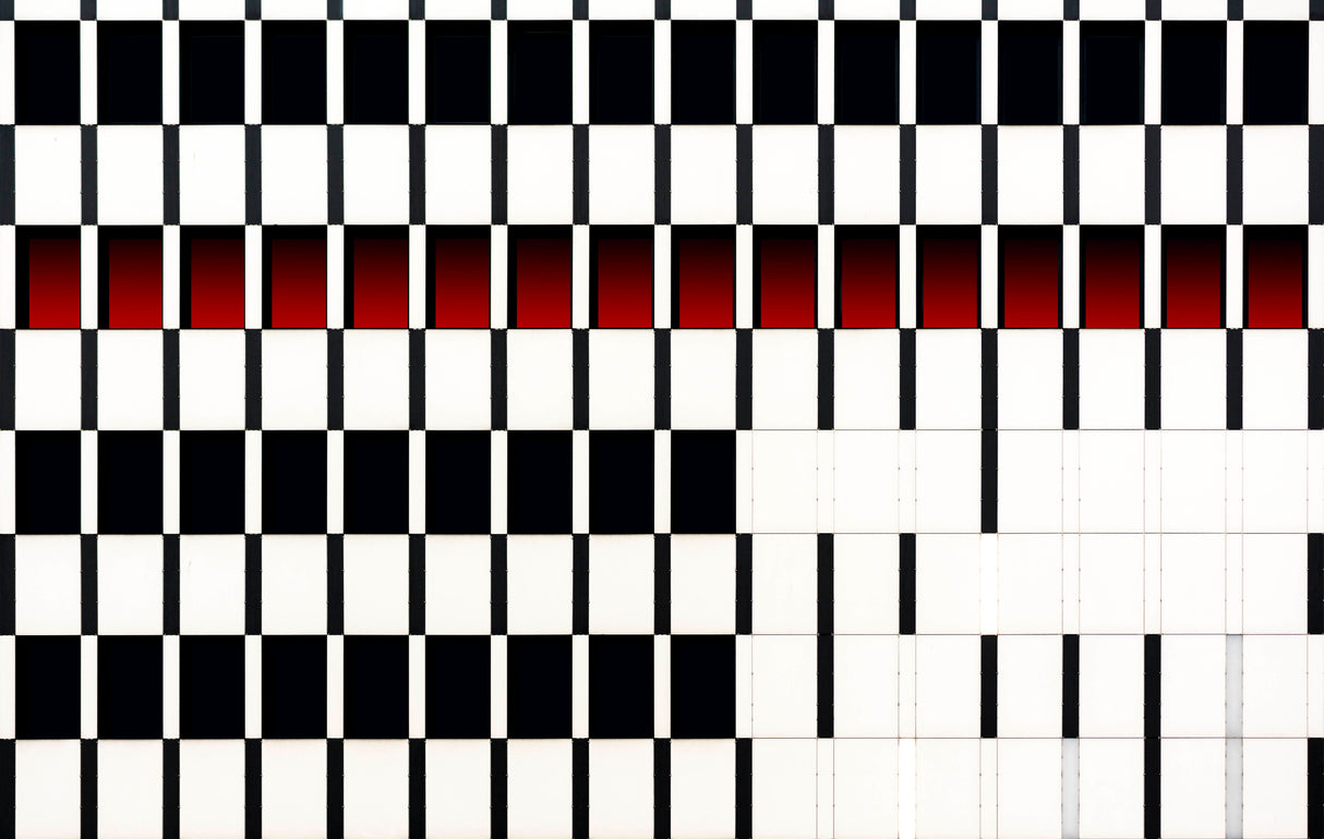 Between black and white Poster och Canvastavla