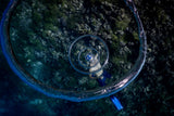 living in a Bubble Poster och Canvastavla