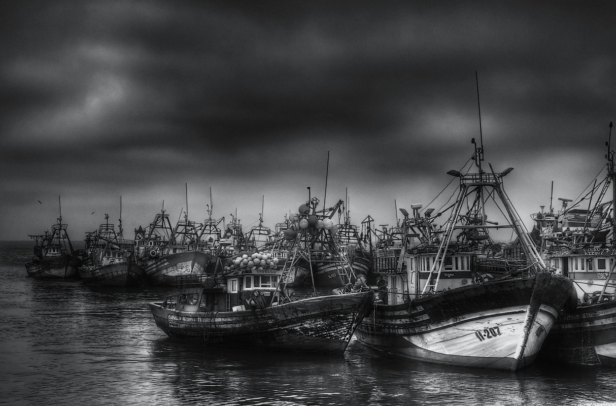Fishing fleet docked Poster och Canvastavla