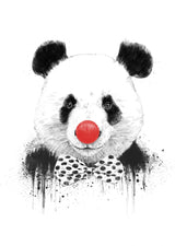 Clown panda Poster och Canvastavla