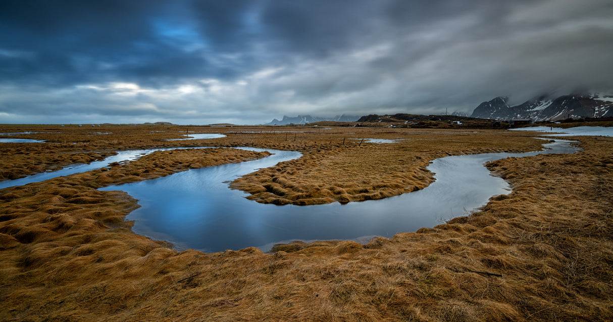 little river Lofoten Poster och Canvastavla