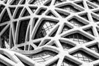 The Maze Poster och Canvastavla