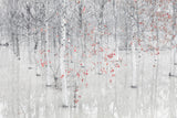 Red &amp; white Poster och Canvastavla