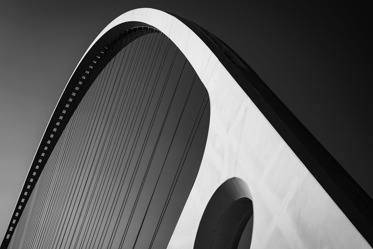 Calatrava arches Poster och Canvastavla