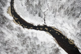 Winter Poster och Canvastavla