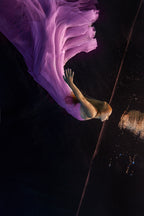 Free fall Poster och Canvastavla