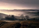 Light Tuscany Poster och Canvastavla
