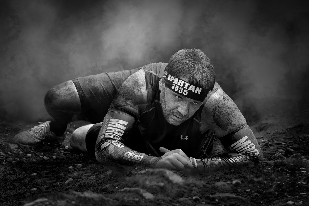 Warrior Poster och Canvastavla