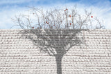 White Wall Poster och Canvastavla