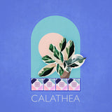 Green Sets Calathea Poster och Canvastavla