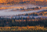 Autumn in Alaska Poster och Canvastavla