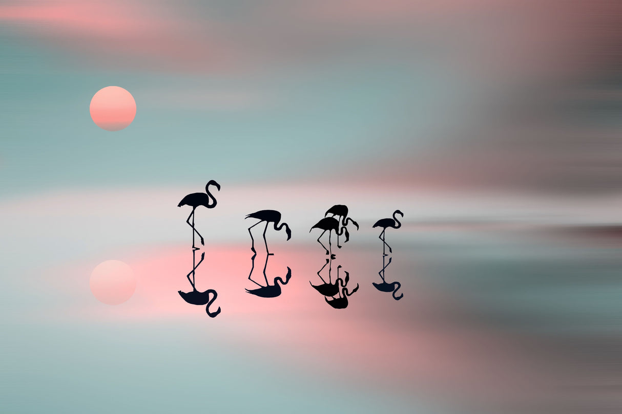 Family flamingos. Poster och Canvastavla