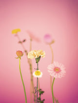 Desenfocar Copia Poster och Canvastavla