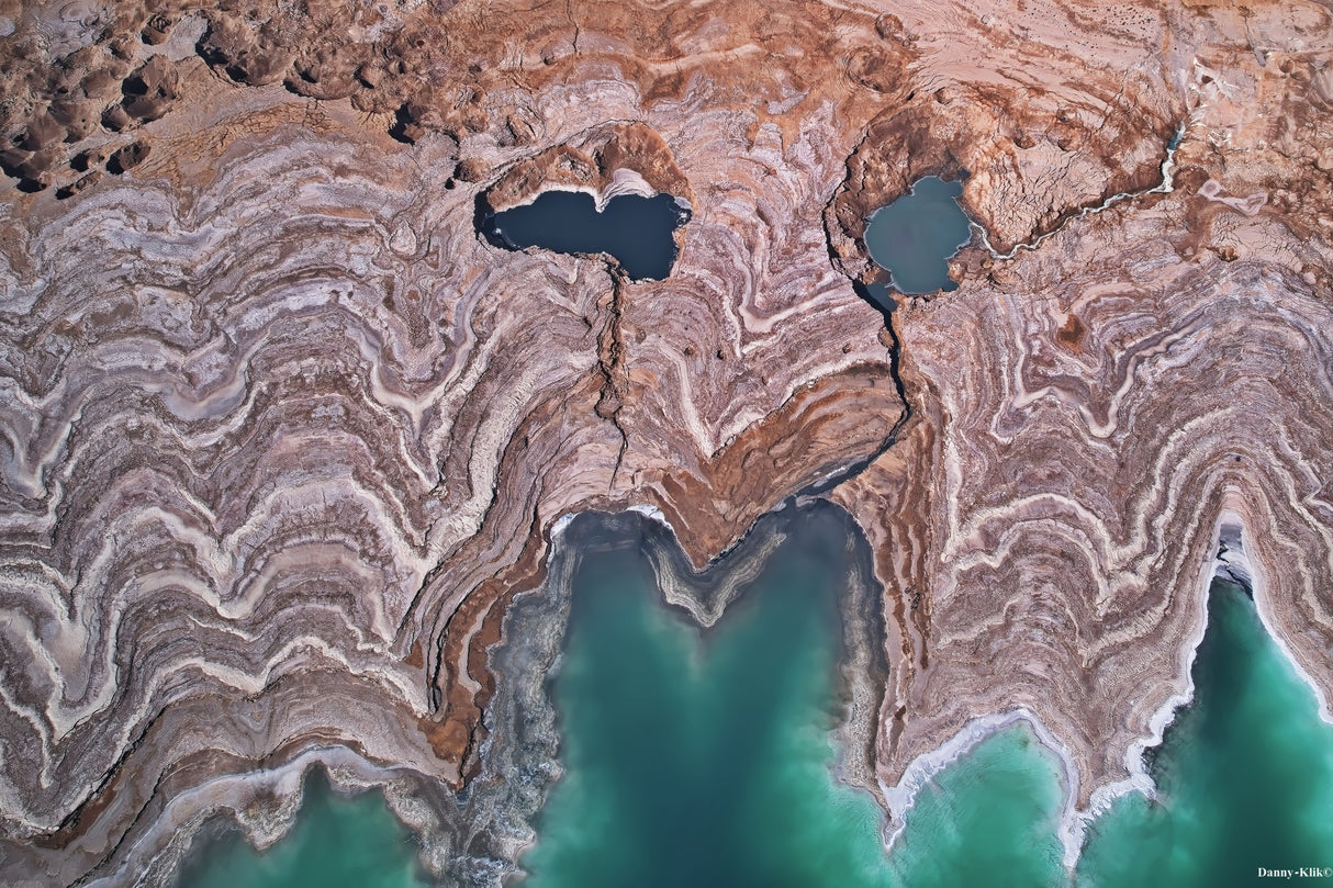 The Dead Sea Monster Poster och Canvastavla