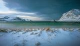 Vick beach , Lofoten Island . Poster och Canvastavla